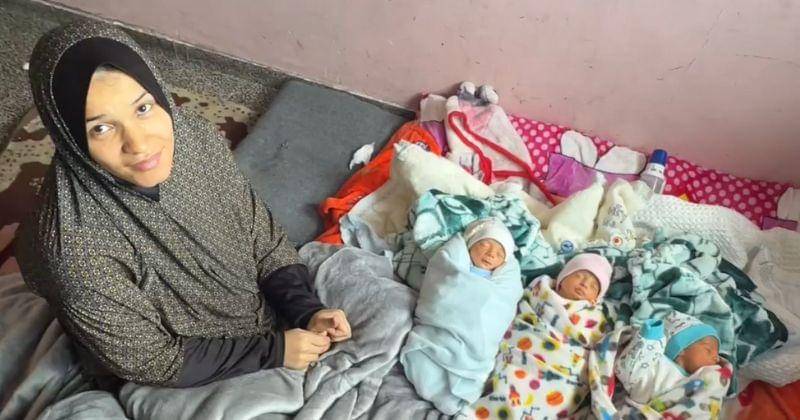 Instagram.com/mahmudhams